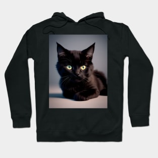 Black Cat - Modern Digital Art Hoodie